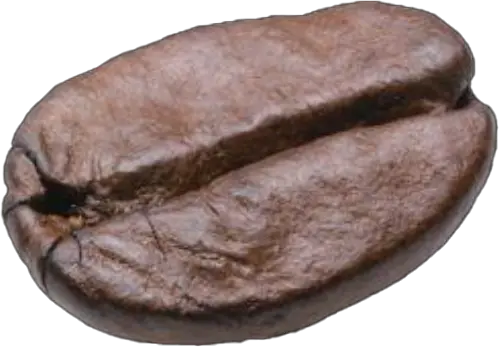 beans